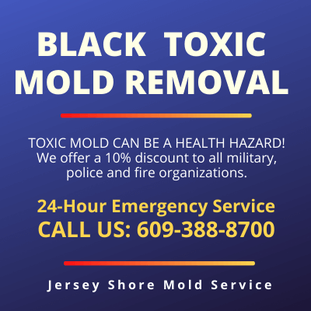 BLACK TOXIC MOLD Removal Margate NJ 609-388-8700