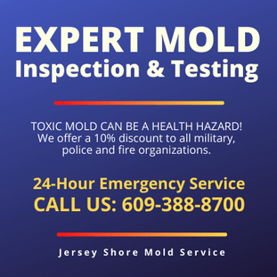 MOLD INSPECTION AND TESTING Absecon NJ 609-388-8700
