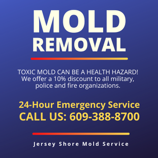 Mold Removal Mystic Island NJ 609-388-8700